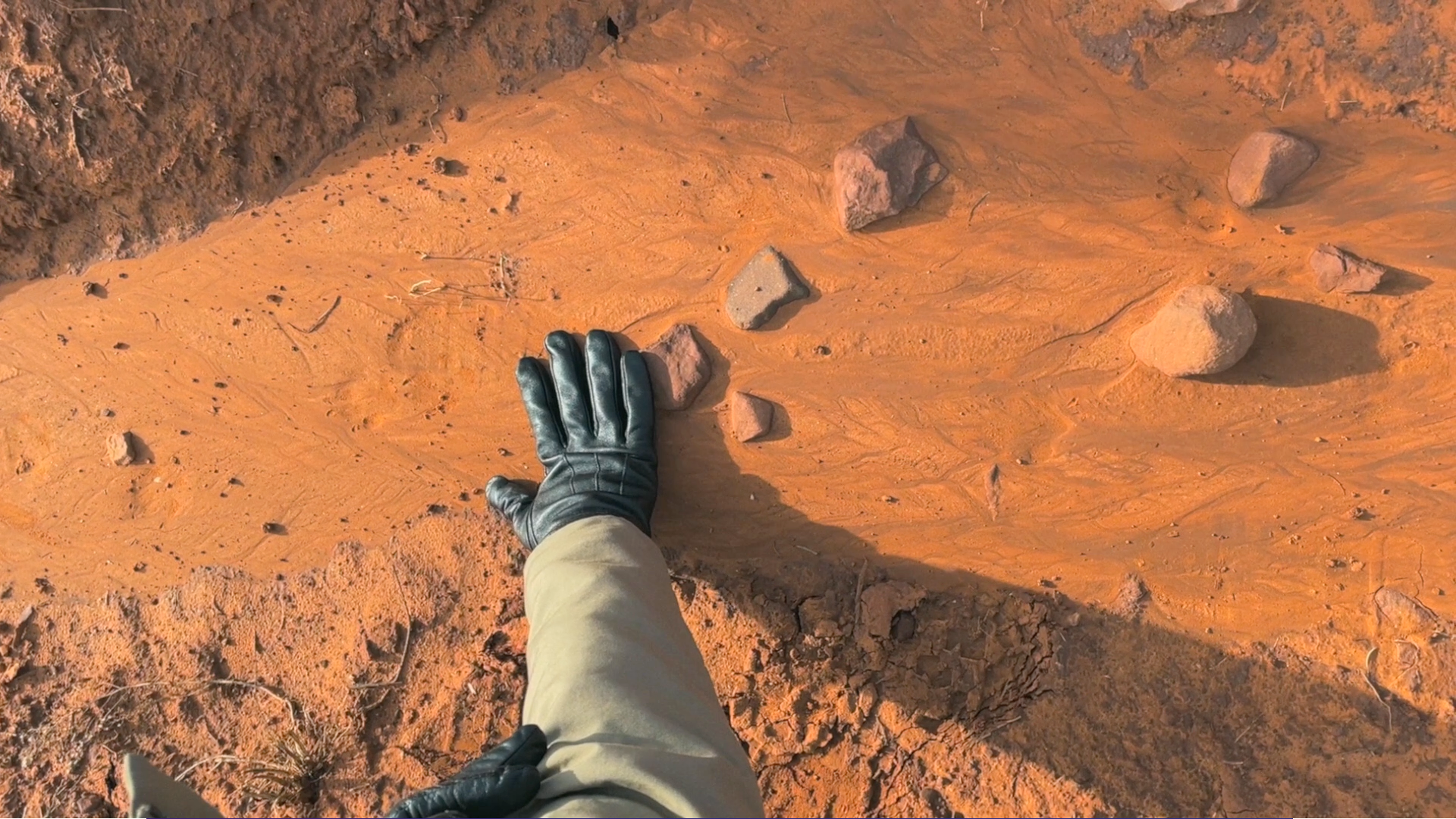 Glove